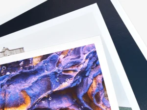 Renard-photo fine art