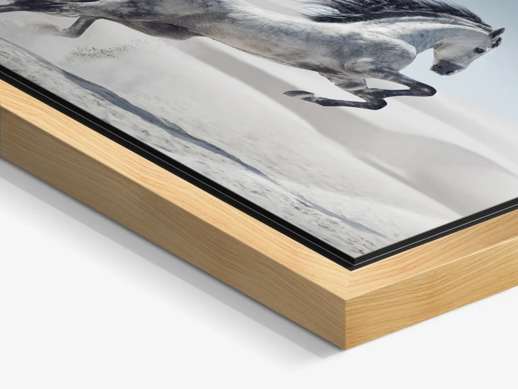 renard photo encadrement