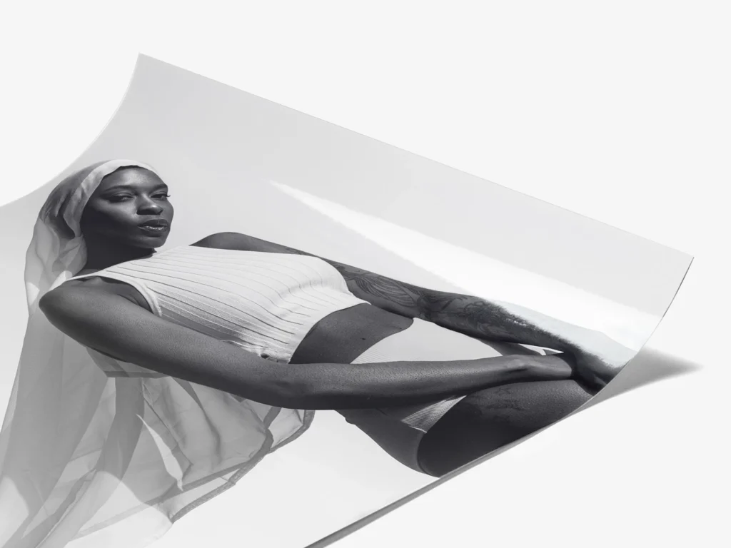 renard photo impression nb