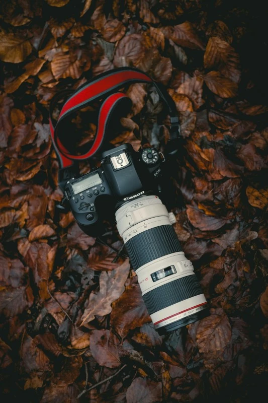 photographe appareil et objectif canon sur lit de feuilles